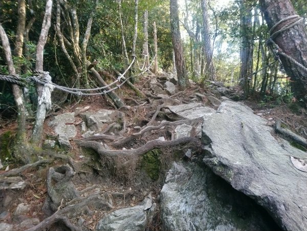 鳶嘴 稍來 大雪山林道O型694764