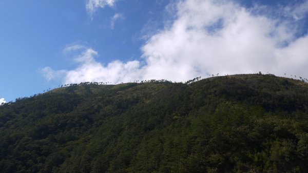 馬武佐野郡山登山健行趣(中級山)1508945