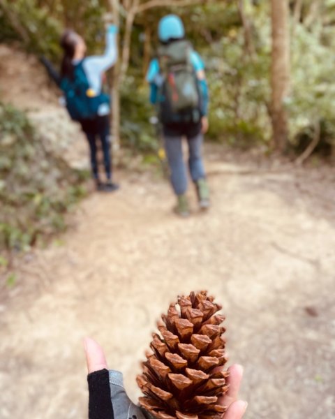 石牛山-油井窩山-石門水庫-牛油縱走2643985