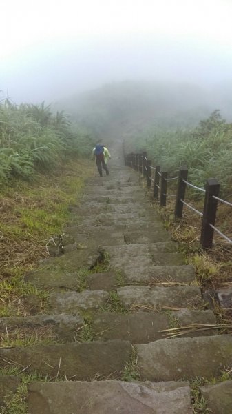 黃金一稜（基隆山小百岳，雷霆峰）566935