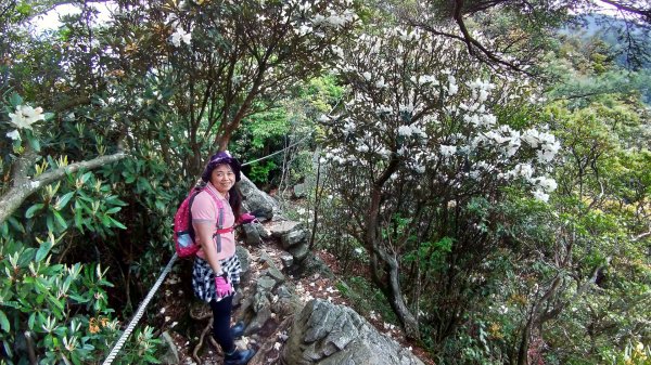 鳶嘴山 2019/05/05580964