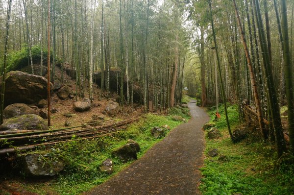 溪頭自然教育園區2016938