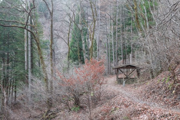 徒步中山道：木曾川源流の里2402600