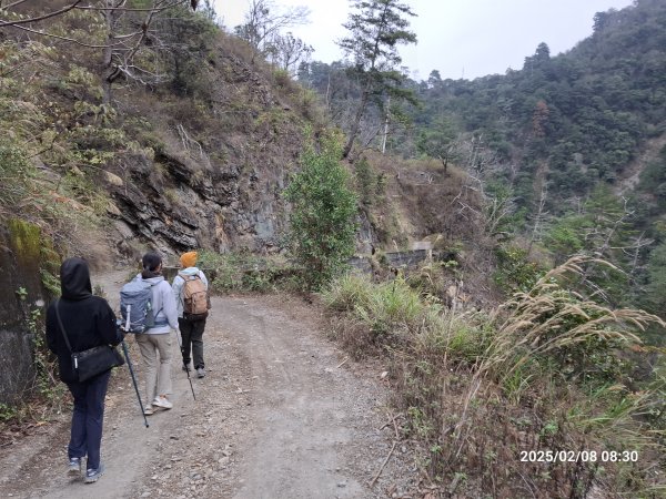 2025.02.08 限時秘境?菜市場? 北港溪峽谷步道2709002