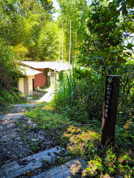 2024-08-22 澀水森林步道2578472