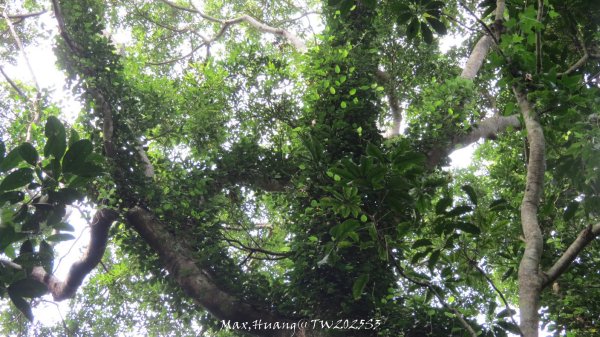 《苗栗》關刀出關｜三義關刀山出關古道(聖關段-苗56)202509052878814