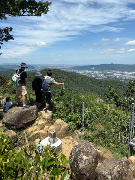 微笑山線：望月亭桐花段3088389