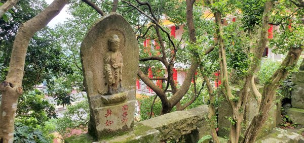 2024-06-15觀音山【福隆山、尖山(占山)登山步道】O走2528244