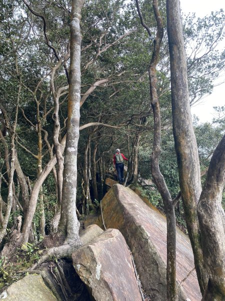 坐公車接駁的神仙縱走2707413