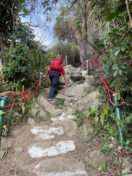 嘉雲南大尖山和二尖山1273086