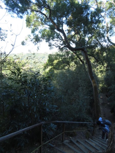 豐原三崁頂健康步道3上2下O形2696148