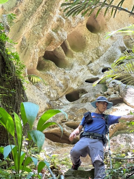 孝子山、普陀山、慈母峰賞鹿子野百合O走2592906