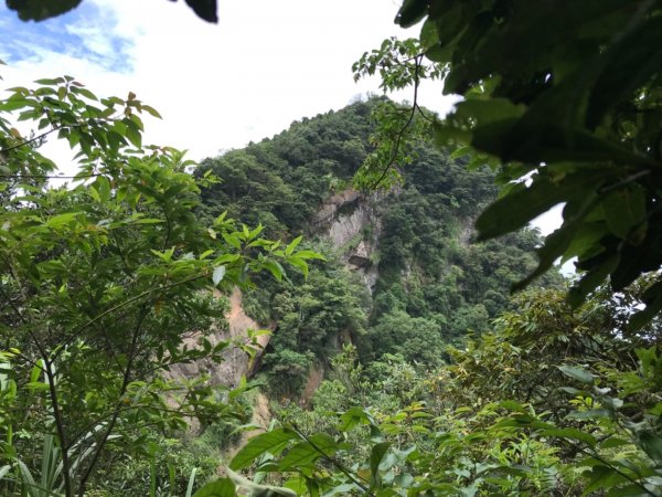 新竹五指山599740