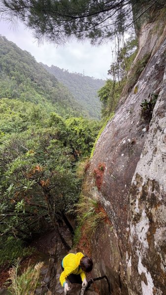 迎新（2026元旦2975615