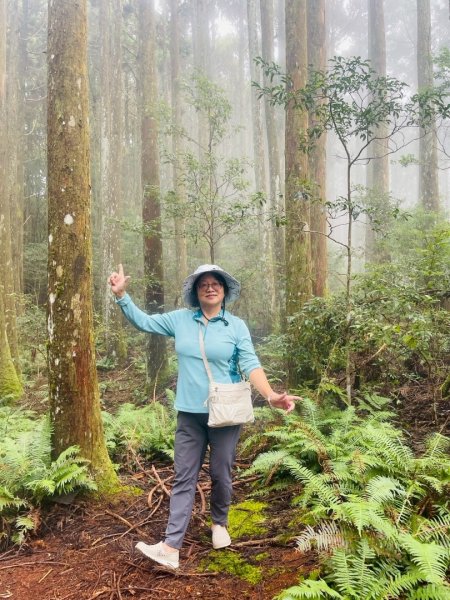 清泉 雪霸農場 野馬瞰山2925892