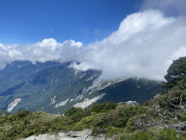 2022/06/02-2022/06/03(兩天一夜-嘉明湖/向陽山/三叉山)1728665