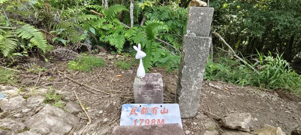 2025/06/22_民都有山登山步道2818023