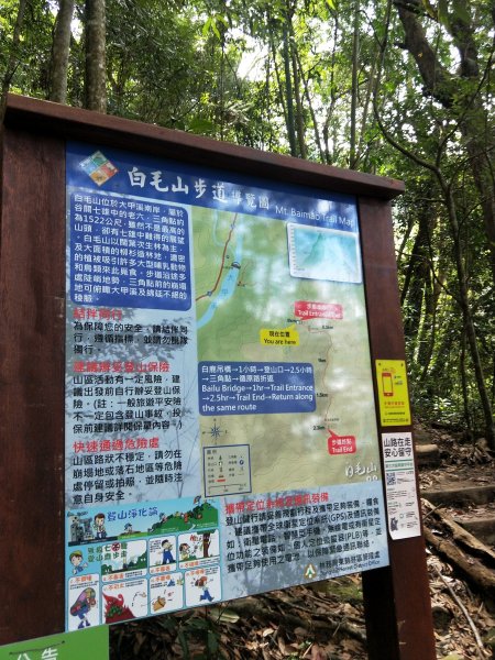 步道巡訪員 l 白毛山步道9月巡訪日誌1098990