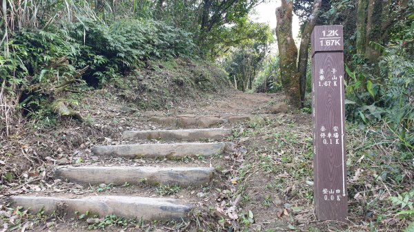 姜子寮山姜子寮瀑布1067282