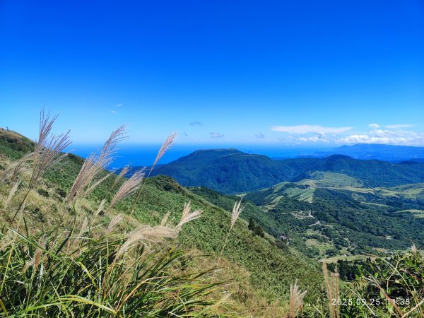 七星山二進2894972