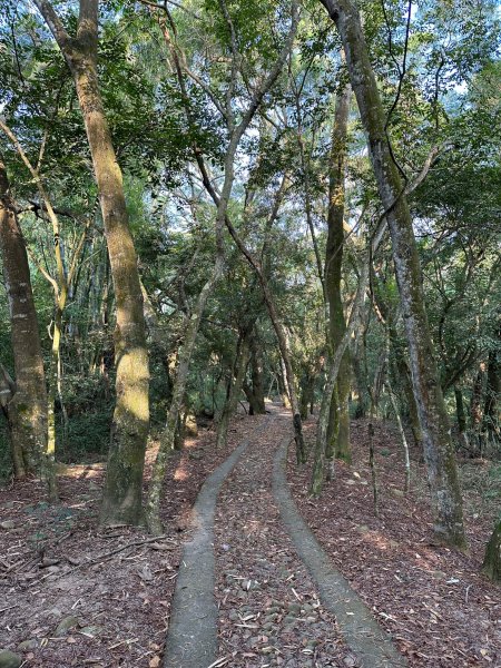 田中森林公園登山步道1889720
