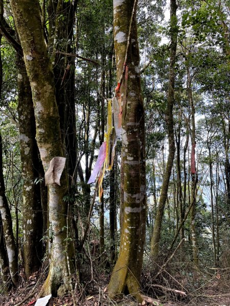 埔里練練腳Day1 熱身～小百岳 關刀山1503807