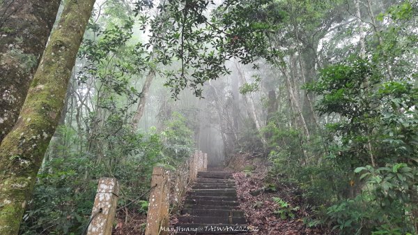《雲林》望好望角｜石壁山嘉南雲峰步道(中側登山口）202506072805438
