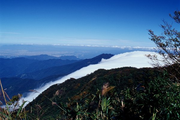 北插天山 - 金黃山毛櫸饗宴(民國93,94,95年)1943712