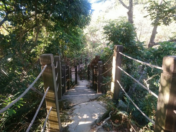 新田五星級登山步道-聚興山 小百岳040755657