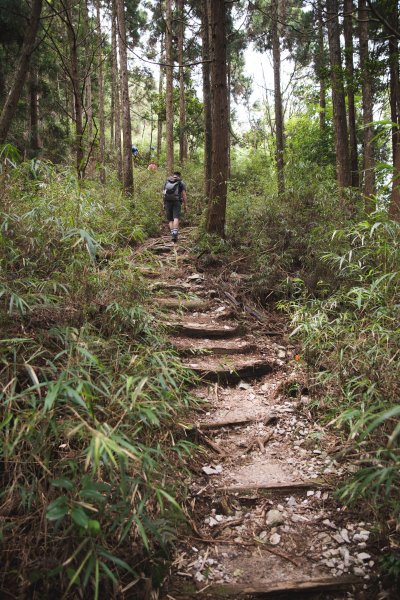 八仙山-夏日避暑好所在631694