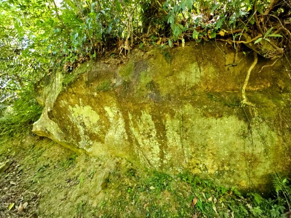 灣潭古道(淡蘭中路)-新北市雙溪區2882676