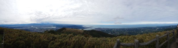 20260125 陽明山前後山健行(無極天元宮~山仔頂步道.向天池.向天山.面天山.二子坪)2998037
