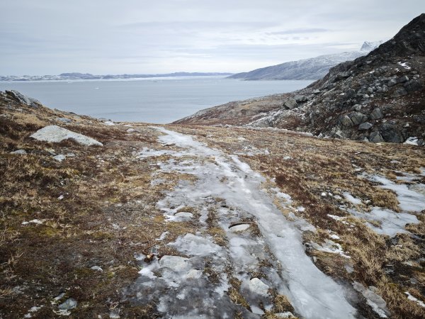 [紐約馬之行-47] 2025_1108 努克環狀步道 4/52951469