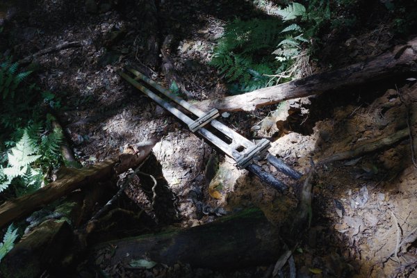 桃園復興區 處暑‧北插天山岩戶線2868422