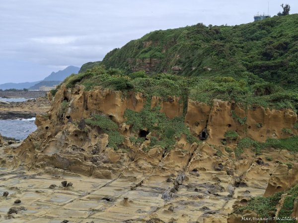 《基隆》奇石黑鳶｜和平島地質公園環山步道O繞202609183121018
