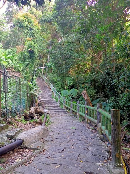 天母水管路步道→天母古道→陽明天主堂2432180