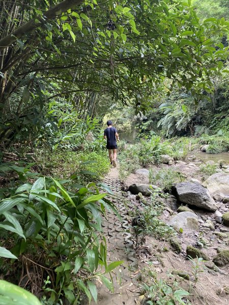 20250706-EP.08四寮溪生態步道-2025森遊竹縣皮皮獅探險隊2851863