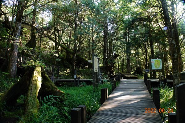 宜蘭 大同 太平山森林遊樂區1743646