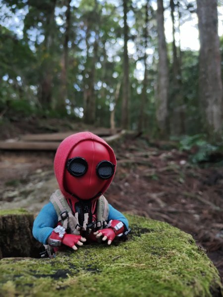 2023.12.27 東眼山2838854