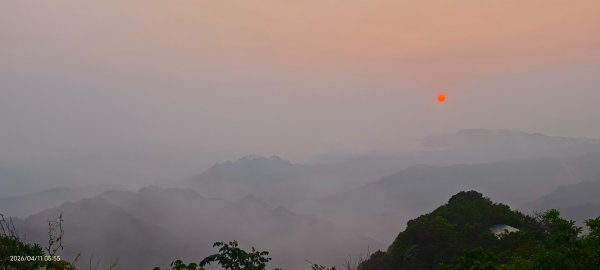 #山羌 #親子檔 #二格山 #日出 #雲海 #晨霧 4/113033448