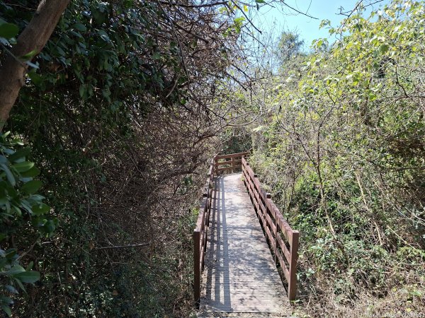 《高雄》泥岩惡地｜漯底山自然公園大O繞順訪永安、茄萣濕地202603133014673
