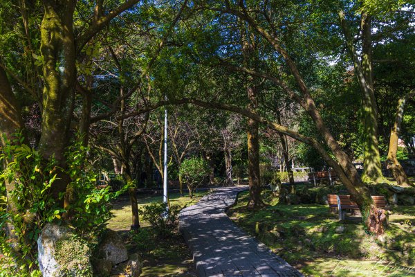 [台北]紗帽山2956579