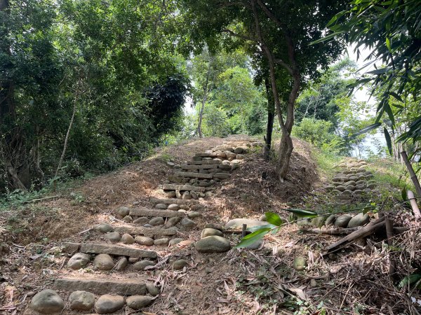 [皮皮獅探險隊-03/10] 2025_0706 犁頭山、文山步道2831468