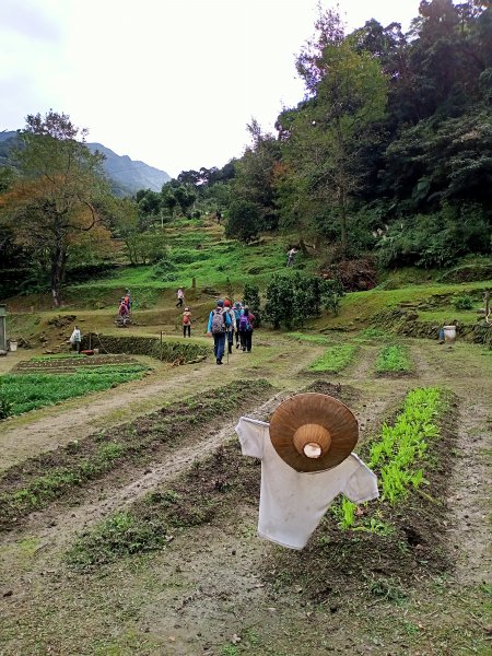 【基隆-臺灣百大必訪步道】暖東峽谷→荖寮坑→暖東舊道→五分山步道→新平溪煤礦博物園區→十分遊客中心1542784