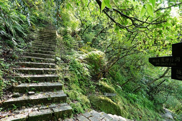 新北 平溪 薯榔尖、石筍尖、魔神仔洞2772547