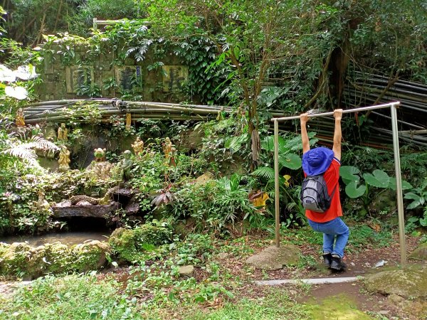 《龍飛鳳舞的龍鳳谷步道》1447247