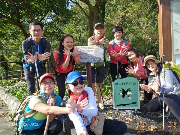 東勢大崙、東勢坑山、觀音湖山O走2986203