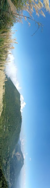 大屯山&小觀音山西峰差強人意的雲海/夕陽晚霞/芒花2337349