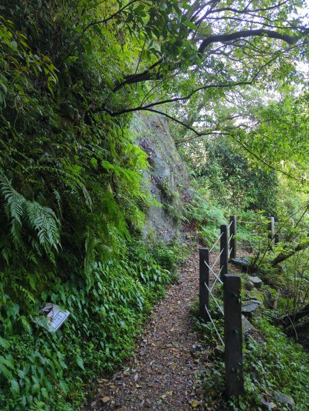 2025.04.27－金包里大路~小油坑縱走2770895