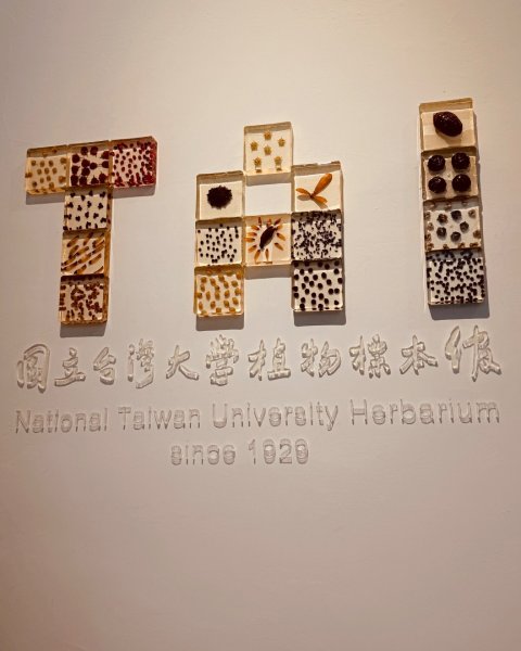 雨天備案💙 台灣博物館的古生代館-台大動植物館免費參觀-北投♨️季2808840